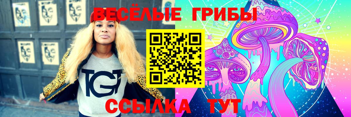 Новоалександровск  Галлюциногенные грибы Psilocybine cubensis  Вход с VPN 